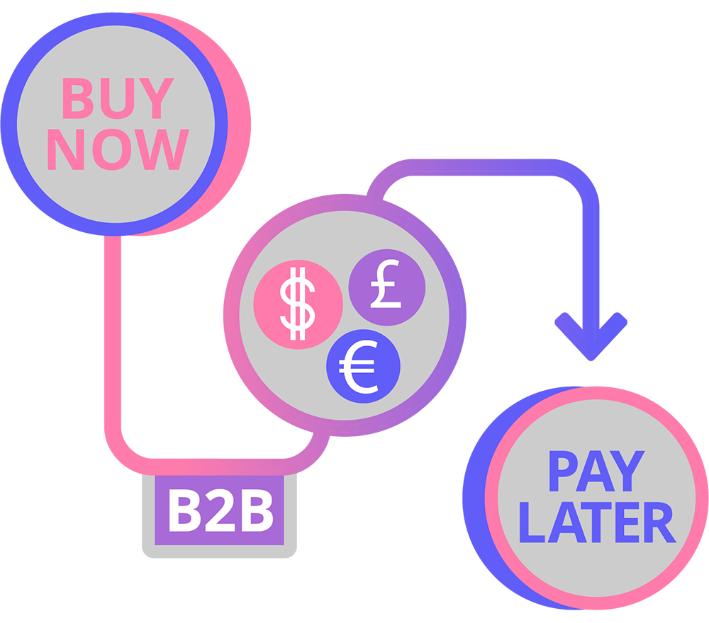 BNPL for B2B: Your Lending Solution